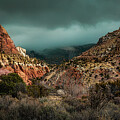 Storm in The Canyon